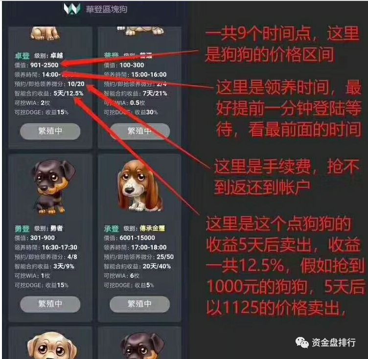 【,崩盘,】,华登,区块,狗,宣布,跑路,投资者, . 【崩盘】华登区块狗宣布崩盘跑路，投资者损失数亿，单个人损失达到50万以上！！！！！