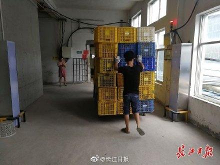 鲸交所：每捆生丝都有自己的“身份证”，武汉多个区块链应用场景全国率先落地-区块链315