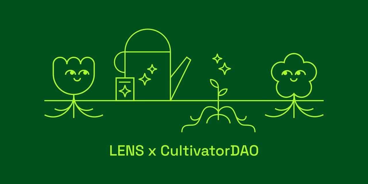 连接公司、项目和人，用Lens构建的这个应用目前正开放访问-iNFTnews