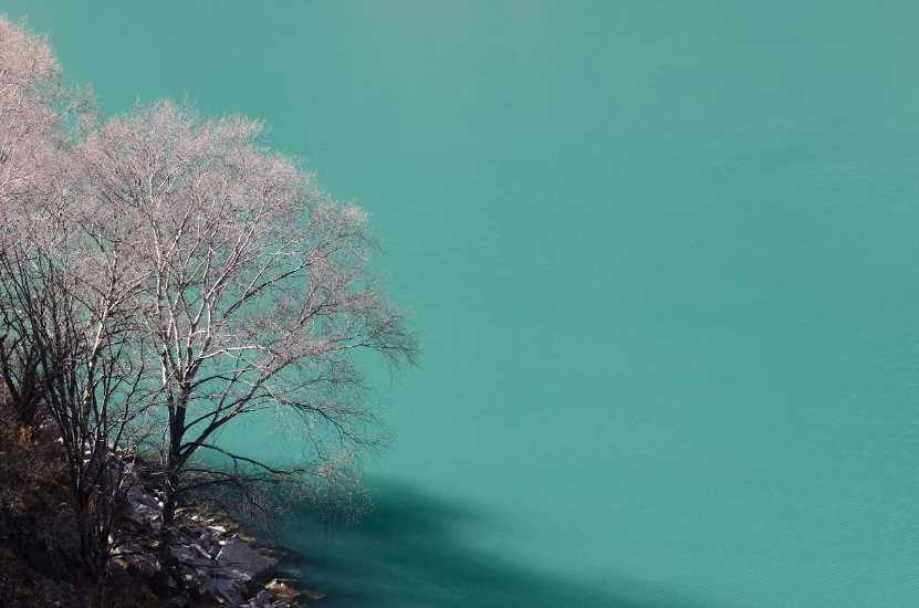 路径篇丨后疫情时代下旅游产业元宇宙（二）-iNFTnews