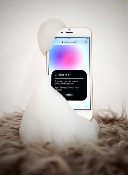 Lifeforms NFT，90天内必须送出去，要不就消失！-iNFTnews