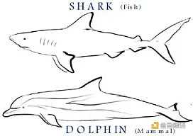 Bankless：Cosmos会是区块链的终极形态吗？-iNFTnews