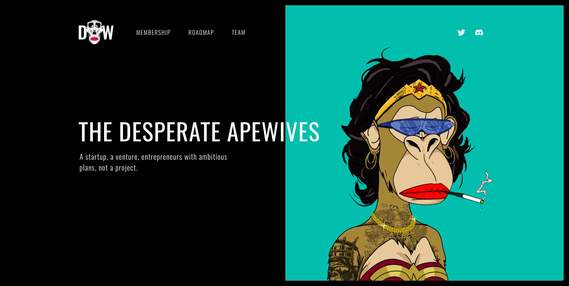 Lady Ape Club即将空投Baby Ape NFT-iNFTnews