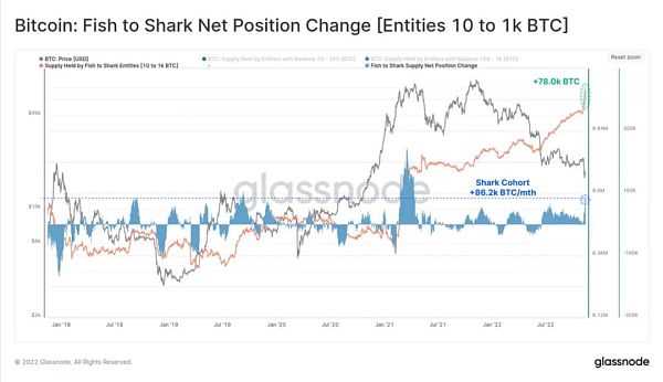 全面分析FTX事件的后续影响-iNFTnews