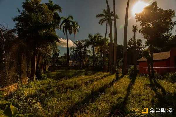 华尔街日报：SBF 注定失败的加密帝国-iNFTnews