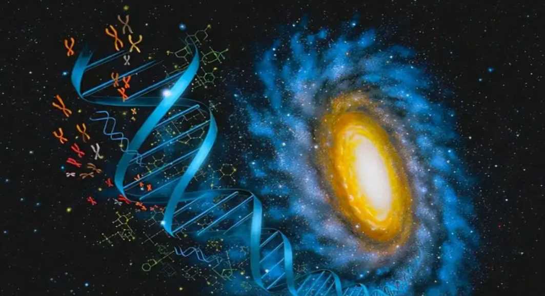 元宇宙在商业中的最佳应用-iNFTnews