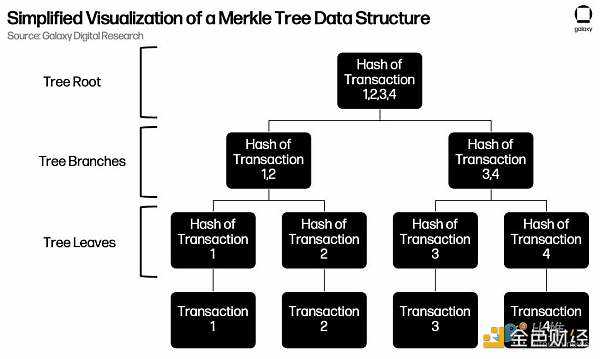 zkEVM：以太坊可扩展性的未来-iNFTnews