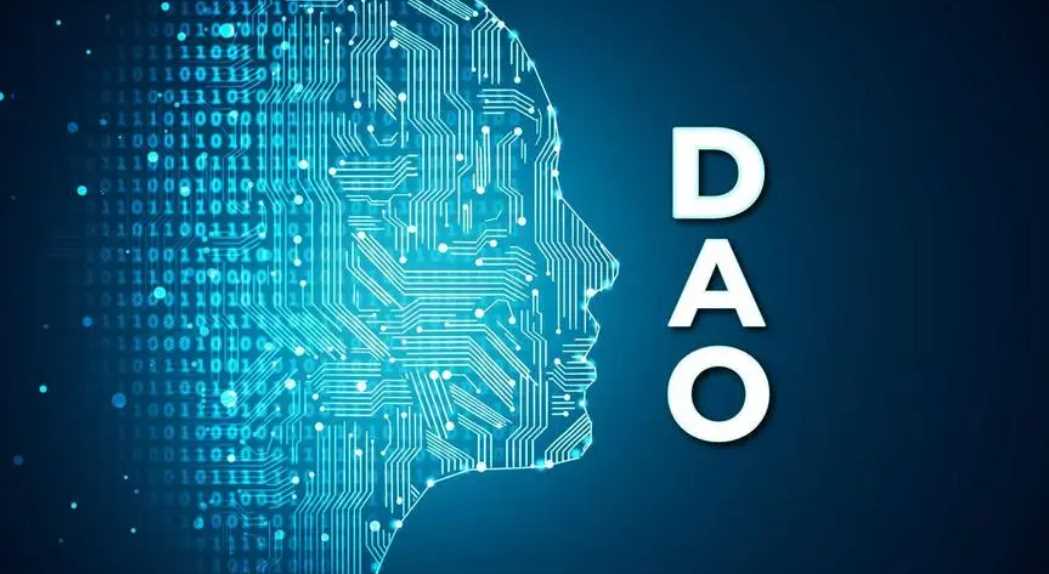 抛开意识形态 DAO是什么？-iNFTnews