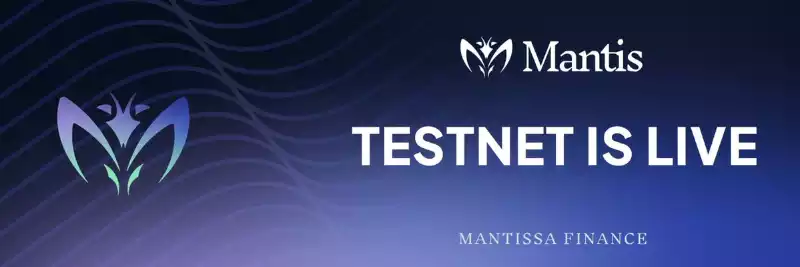 一文速览 Polygon 生态中那些备受期待的 DeFi 协议