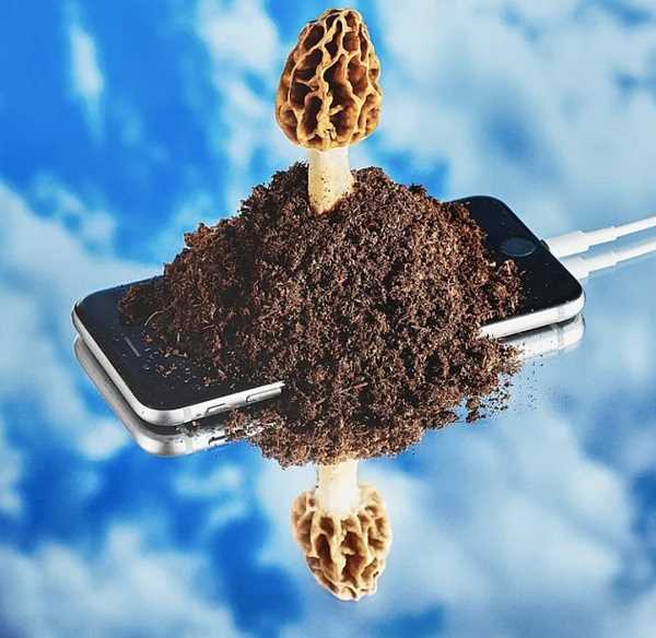 为什么说NFT凉不了？经久不衰的meme文化又火起来了-iNFTnews