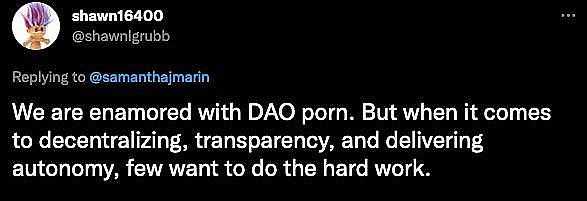 “寒冬”枯木生新芽：2023 DAO 将会有哪些新叙事？-iNFTnews