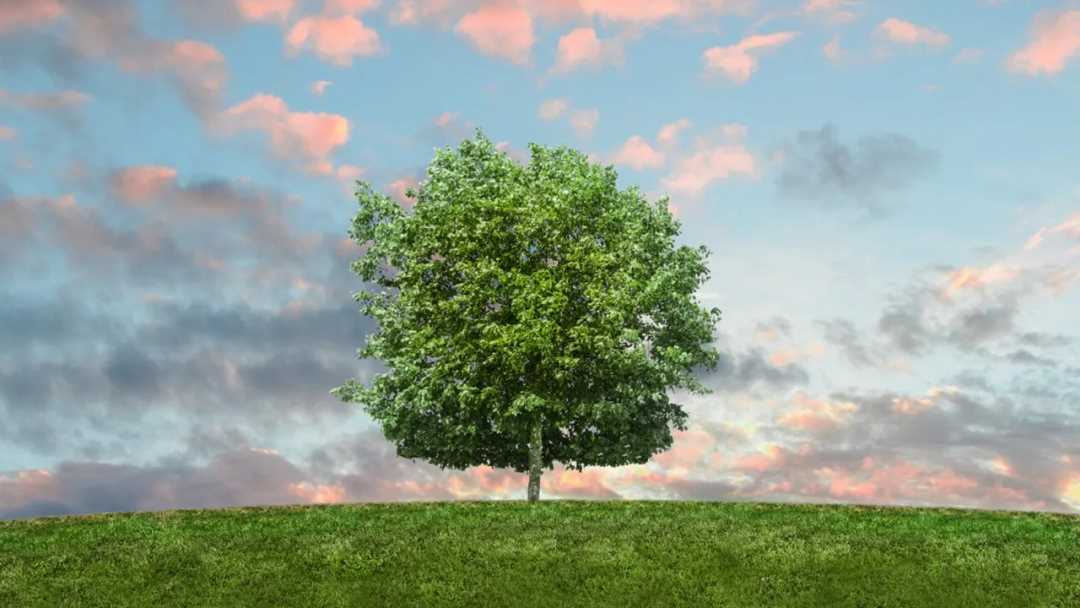 AI 与区块链的融合：迈向 Nature2.0-iNFTnews