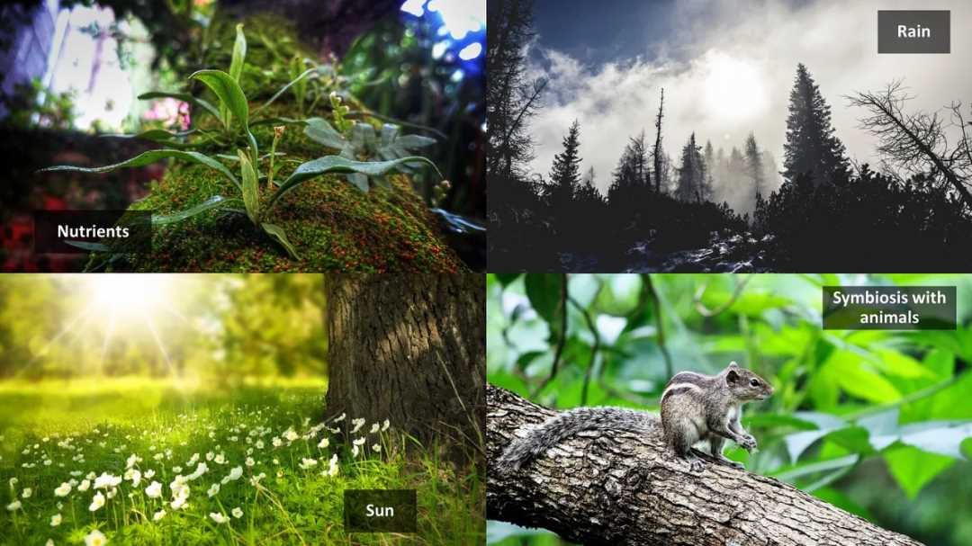 AI 与区块链的融合：迈向 Nature2.0-iNFTnews