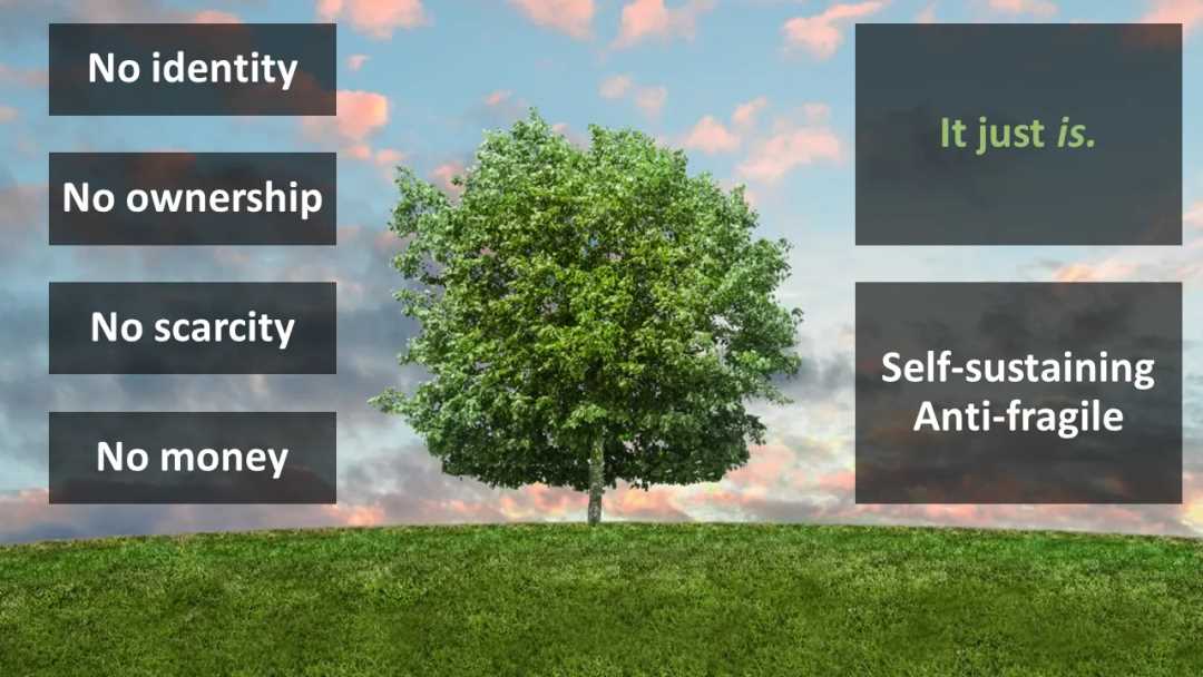 AI 与区块链的融合：迈向 Nature2.0-iNFTnews