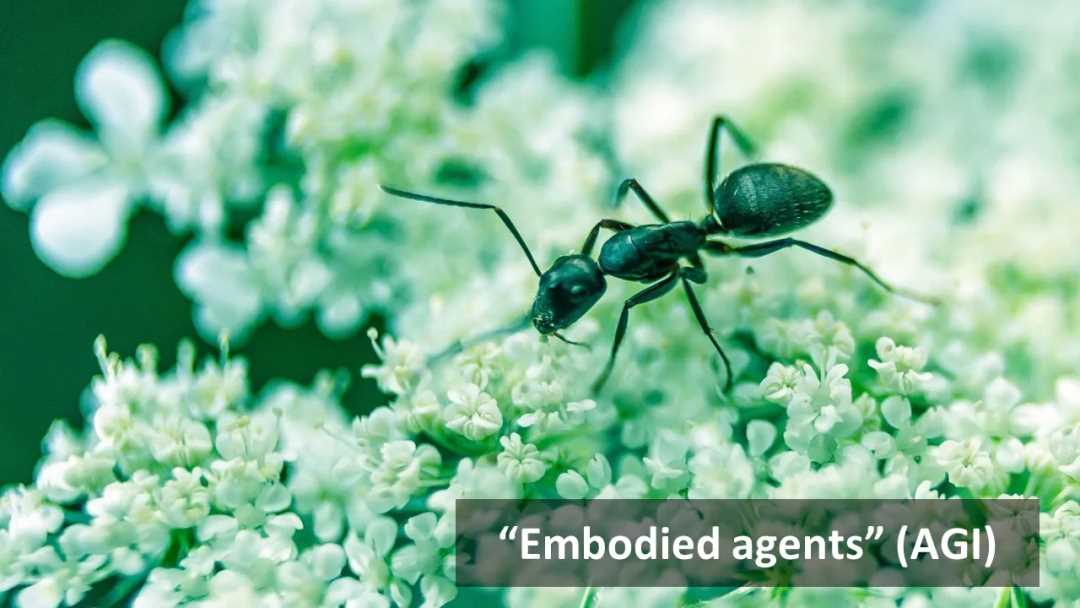 AI 与区块链的融合：迈向 Nature2.0-iNFTnews