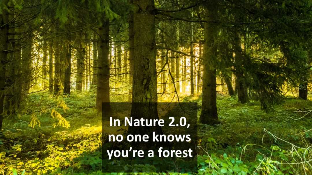 AI 与区块链的融合：迈向 Nature2.0-iNFTnews