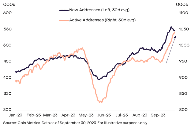 灰度9月市场报告：比特币在全球市场动荡背景下仍表现强劲