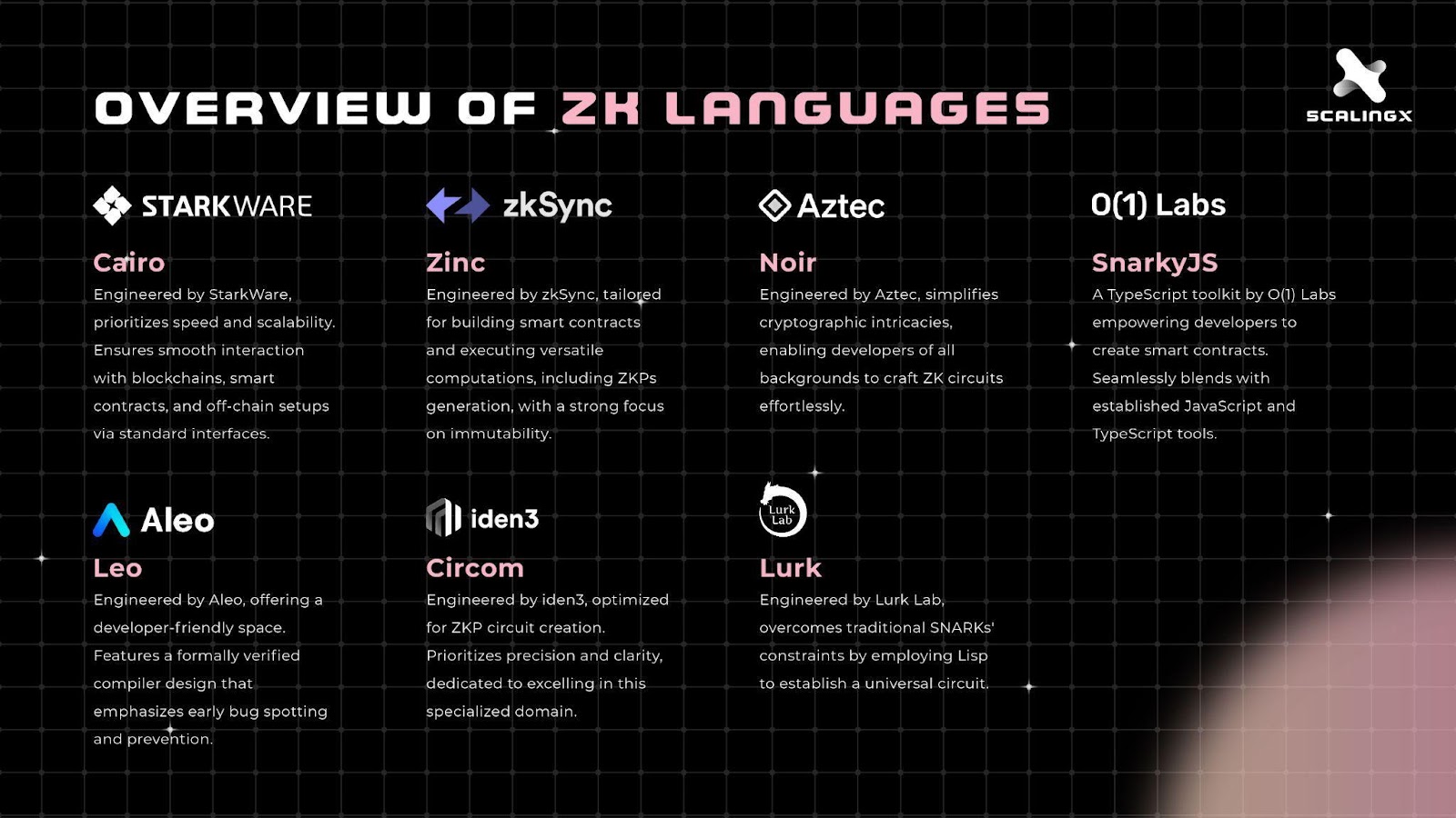 一文探讨ZK编程语言