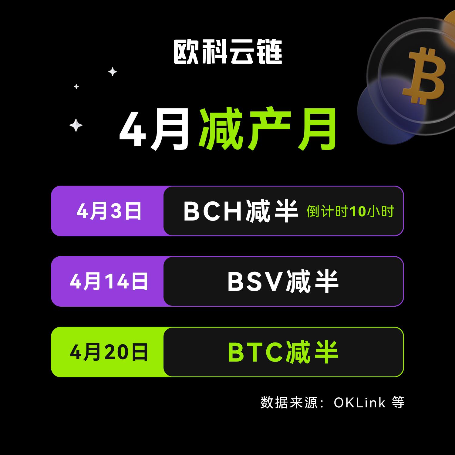 距离BCH减半仅剩10小时，减半后区块奖励降至3.125 BCH