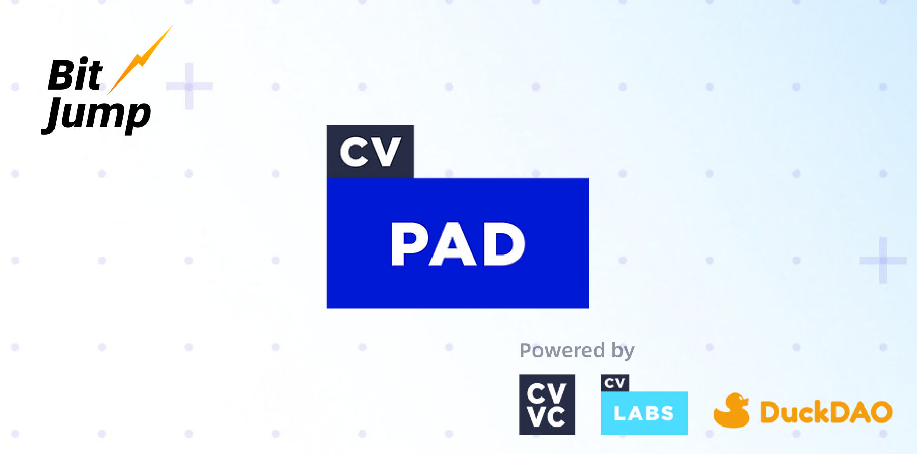 解读CV D：VC背景的全生命周期Launchpad