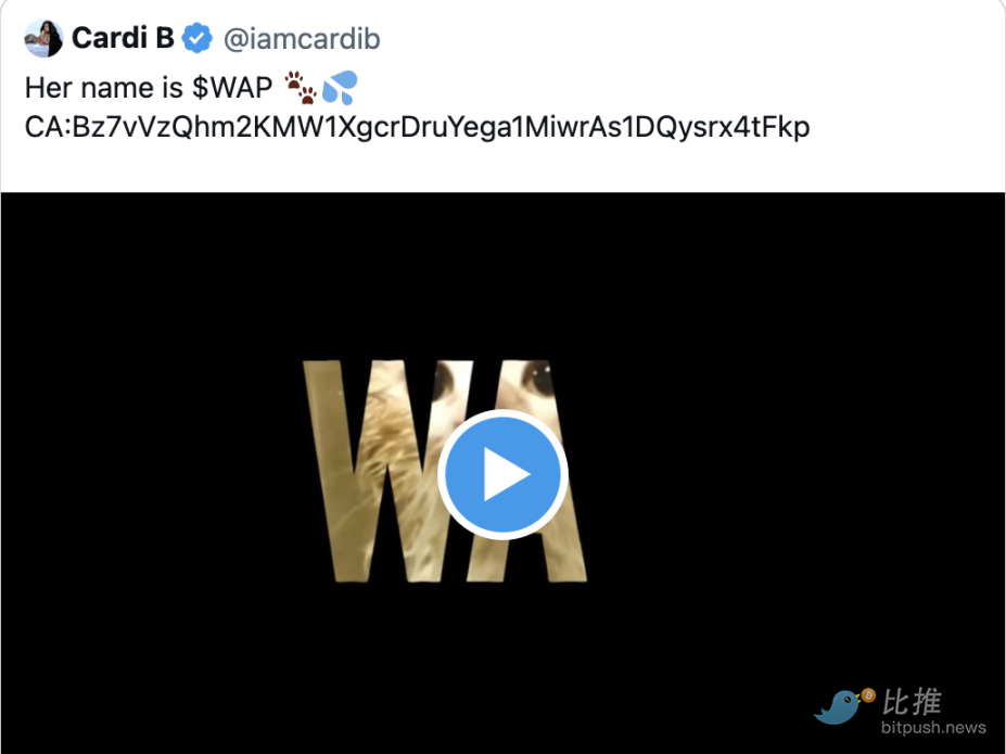 回顾2024名人meme币：一场集体“扑街”秀？