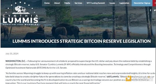 特朗普上台后，谁将成为2025年加密货币的主要采用者？