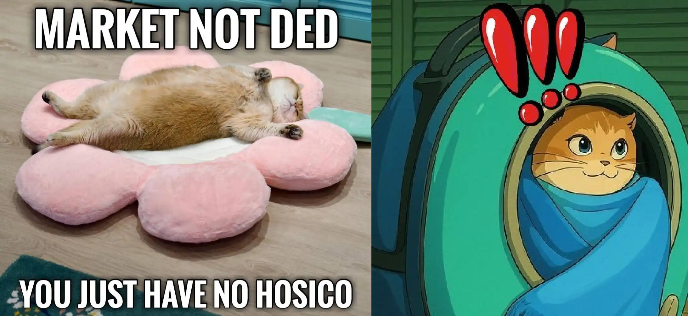 Meme启动平台再添一大将：BONK推出LetsBonk.fun，24小时交易额超3亿美元