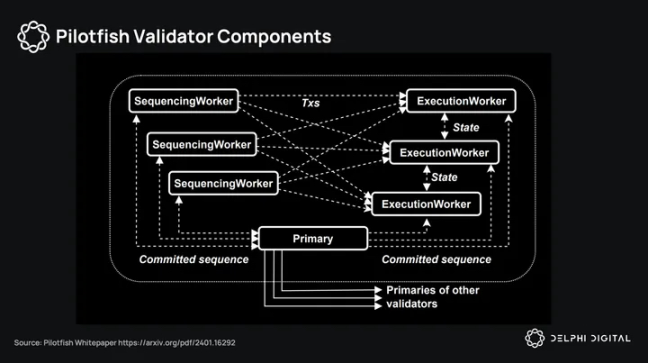 Delphi Digital：深度解析Sui Q1生态发展