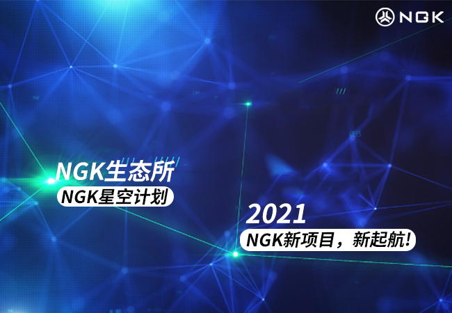 NGK公链